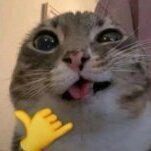 wntr