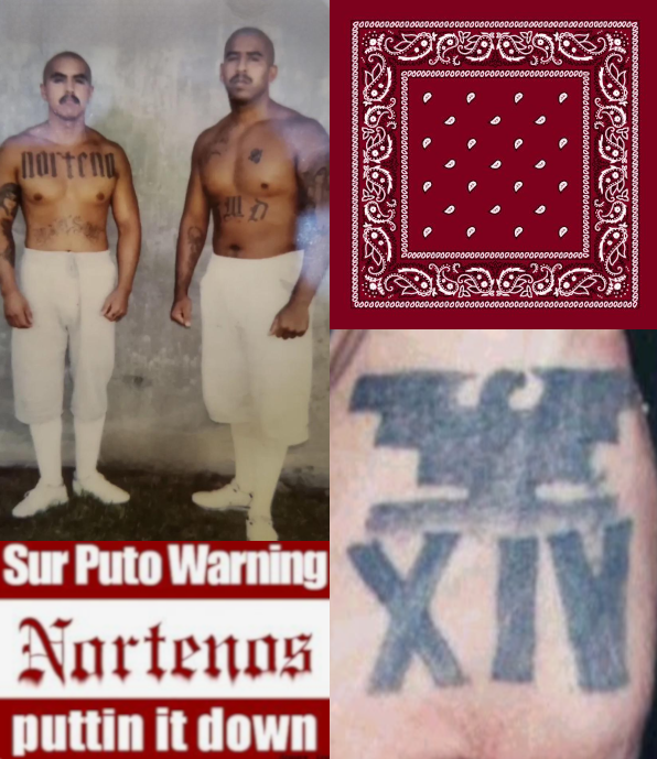 image.png.667405eaf7dc4233aa0bc577e3914213.png