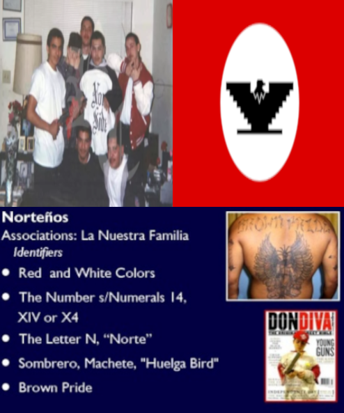 image.png.8ef44e15e88b1f9e8fb24ce38e31e179.png